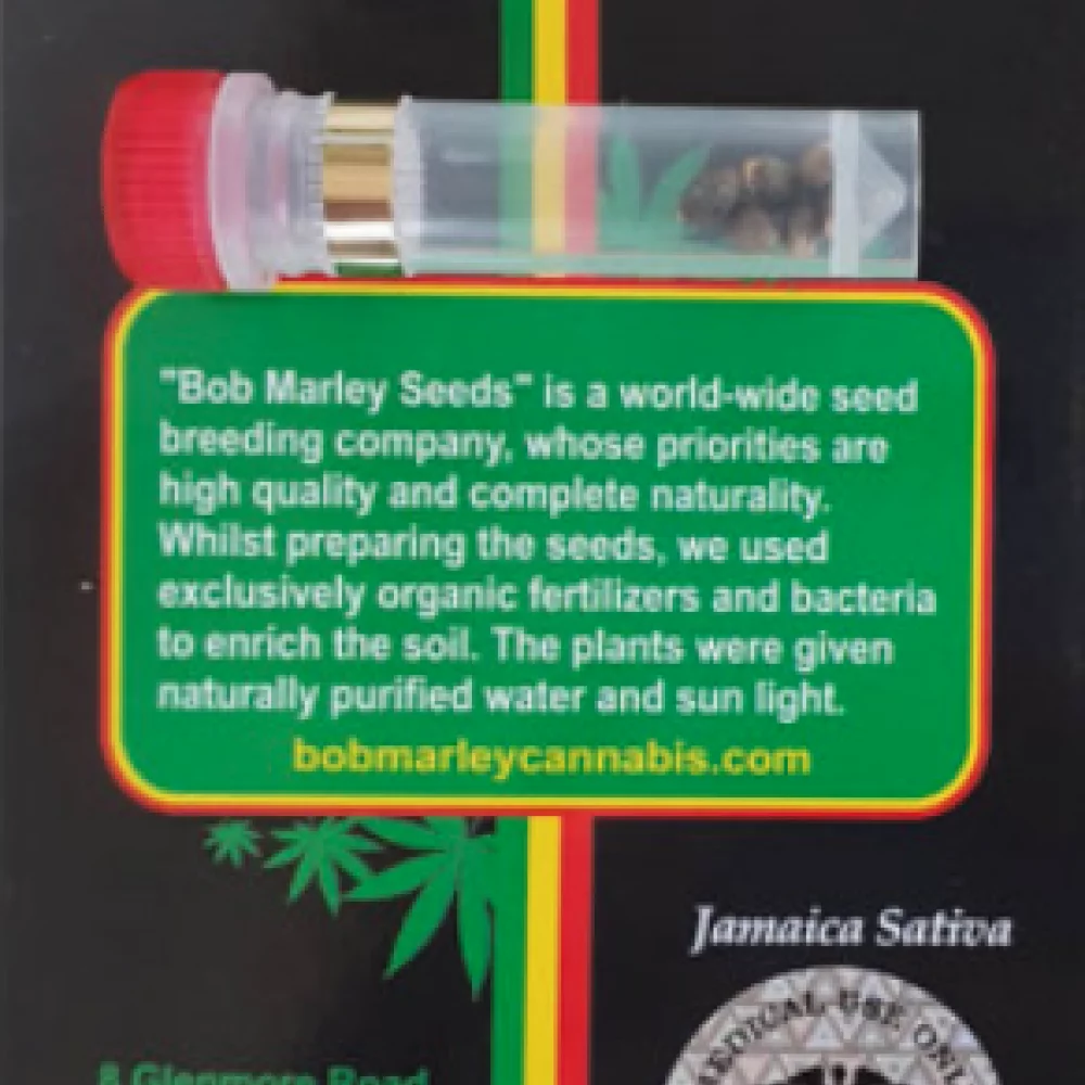 Сорт насіння канабісу Jamaica Sativa Сорт насіння канабісу Jamaica Sativa